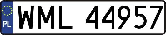 WML44957