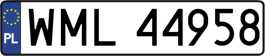 WML44958