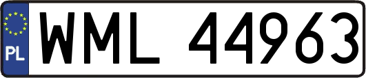 WML44963