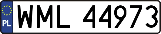 WML44973