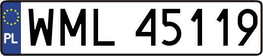 WML45119