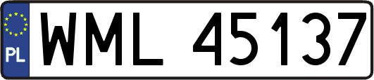 WML45137