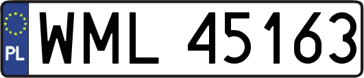 WML45163