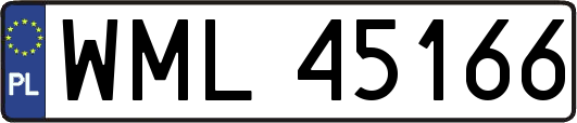 WML45166