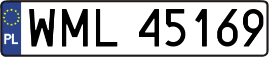 WML45169