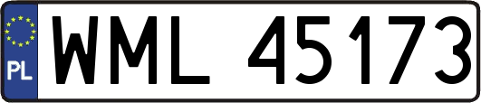 WML45173