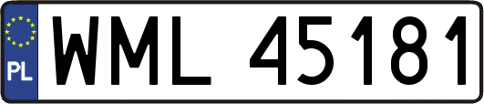 WML45181