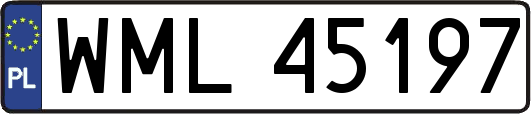 WML45197