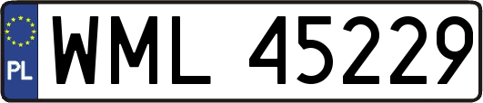 WML45229