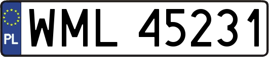 WML45231