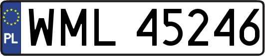 WML45246