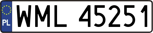WML45251