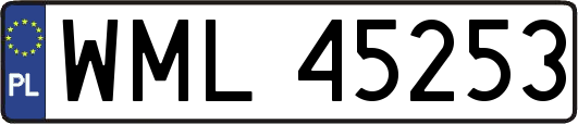 WML45253