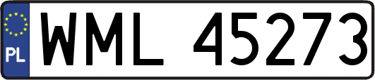 WML45273