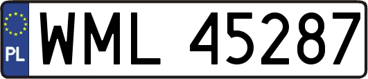 WML45287