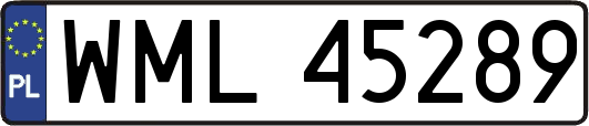 WML45289