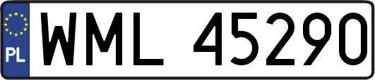 WML45290