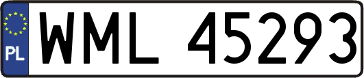 WML45293