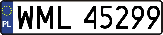WML45299