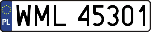 WML45301