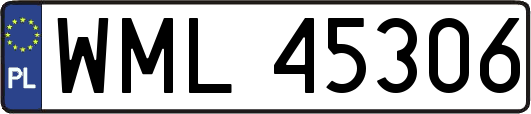 WML45306