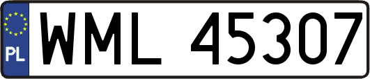 WML45307