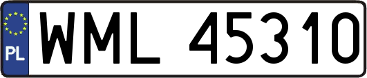 WML45310