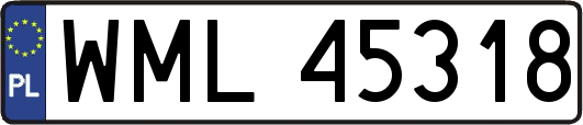 WML45318