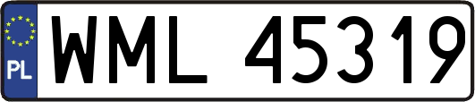 WML45319