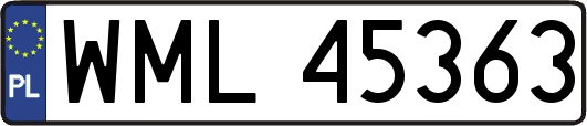 WML45363
