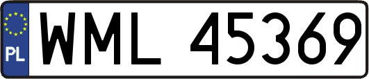 WML45369