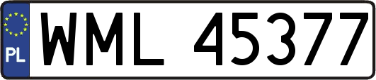 WML45377