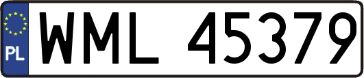 WML45379