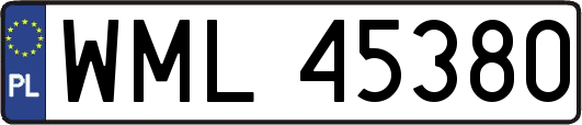 WML45380