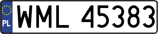 WML45383