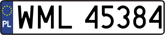 WML45384
