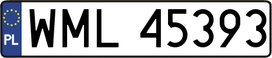 WML45393