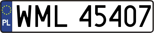 WML45407