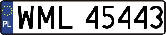WML45443