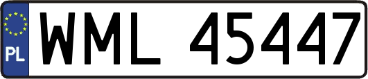 WML45447