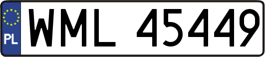 WML45449
