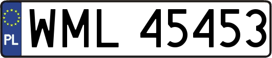 WML45453