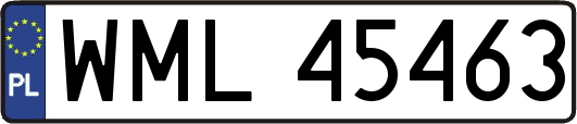 WML45463