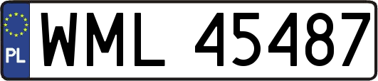 WML45487