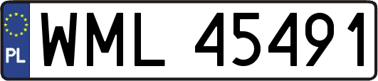 WML45491