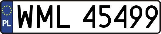 WML45499