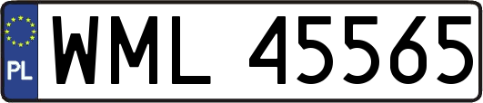 WML45565