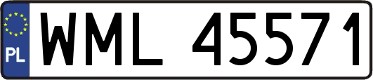 WML45571