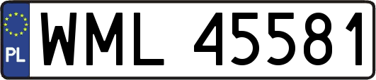 WML45581