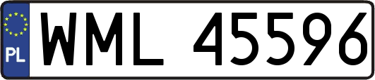 WML45596